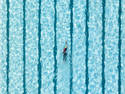 Swimmer, 6 entries