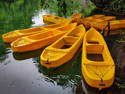 Yellow Kayaks