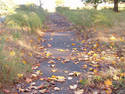 Autumn Walk, 2 entries
