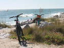 Beach Bikes, 3 entries