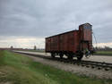 Auschwitz Railroad
