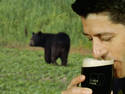 Black Bear Beer upd
