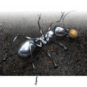 Alien Ant 